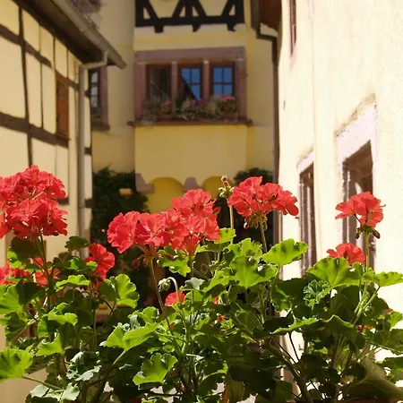 De Louise Appartement *