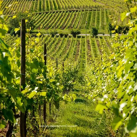 De Louise * Riquewihr